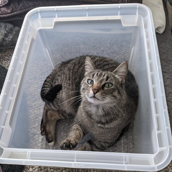 Meet your Posher, R. - Picture 2 of 11